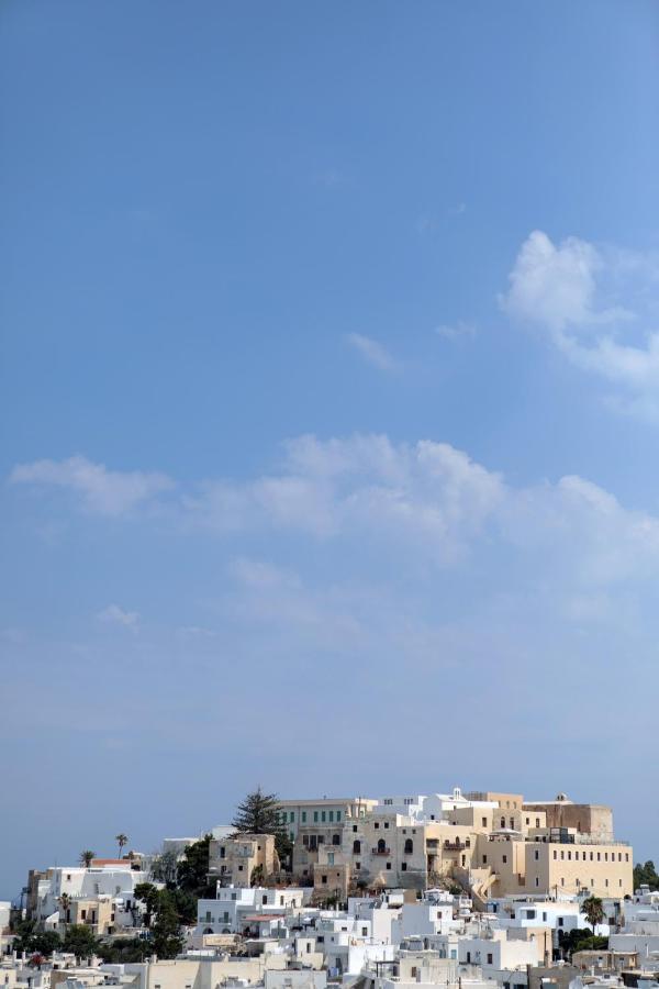 Alma Libre Villas Chora Naxos City 外观 照片